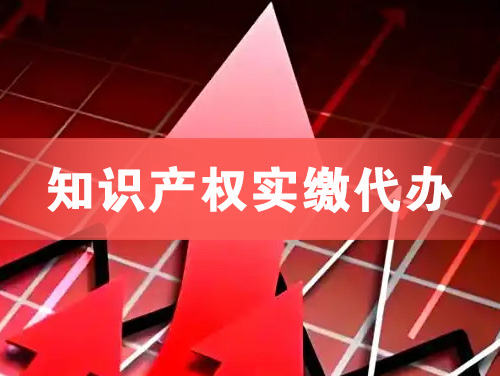 湘乡知识产权实缴资本代办